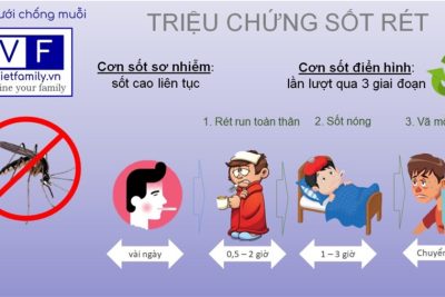 BÀI TUYÊN TRUYỀN VỀ PHÒNG CHỐNG BỆNH SỐT RÉT